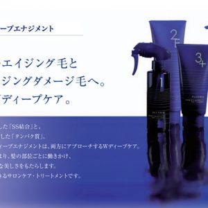 プラーミア　ディープエナジメント アイキャッチ画像