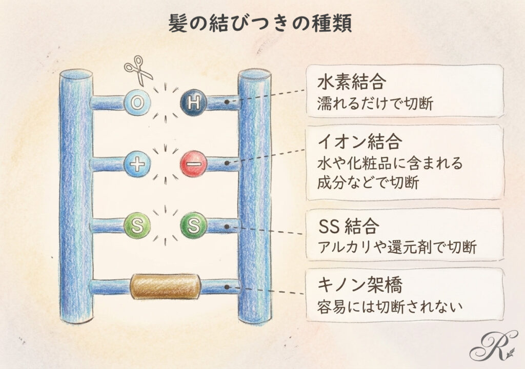 ミルボン 新しいヘアカラー プレトワ キノン架橋とは?